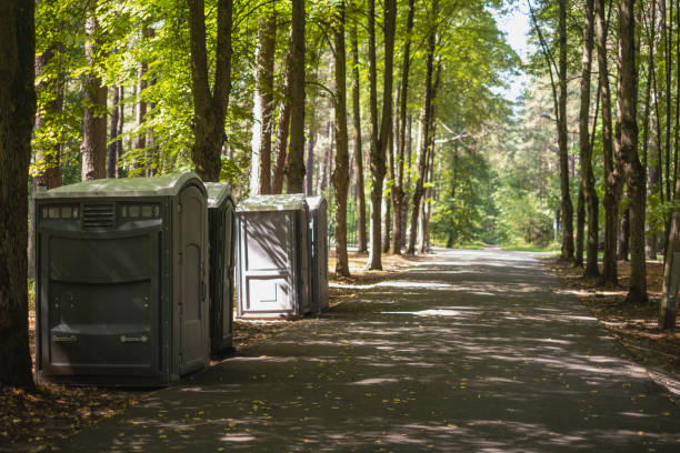 Best Luxury portable toilet rental  in Brocton, NY